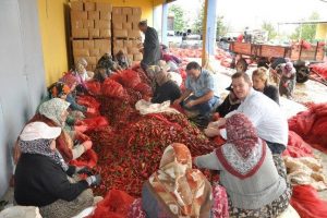 Avrupa'ya İneg&ouml;l sal&ccedil;ası