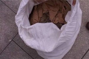 İşte M&uuml;nevver'in "kanlı" eşyaları