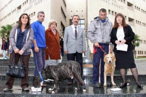Adliye &ouml;n&uuml;nde k&ouml;pekli, hayvanlar g&uuml;n&uuml; kutlaması