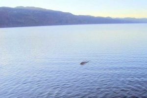 D&uuml;nyayı ayağa kaldıran fotoğraf sahte &ccedil;ıktı