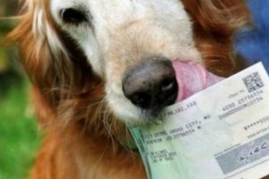 A&ccedil;lıktan 500 doları yedi
