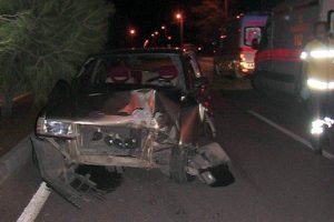 K&ouml;peğe &ccedil;arpmamak i&ccedil;in ağaca &ccedil;arptı