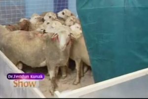 Canlı yayının s&uuml;rpriz konukları!