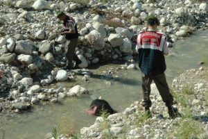 Tarlaya giden kadının cesedi bulundu