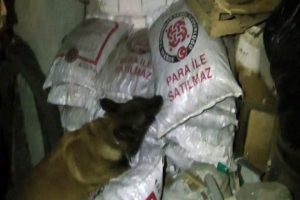 Uyuşturucuyu k&ouml;m&uuml;rlerin arasına saklamışlar