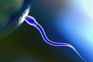 Spermle Nikah Kiyiliyor Bursada Bugun Bursa Bursa Haber Bursa Haberi Bursa Haberleri Bursa