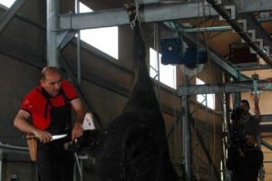 Kesim t&uuml;nelinde canlı tatbikat