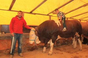 'Şampiyon' alıcısını bekliyor