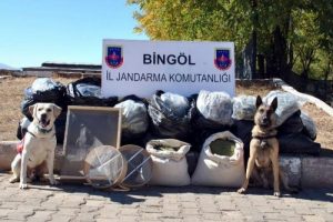Bing&ouml;l'de 76 kilo esrar ele ge&ccedil;irildi