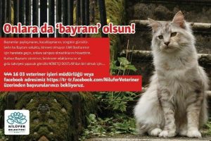 "Can Dostlar"a bayramda g&ouml;n&uuml;ll&uuml; aranıyor