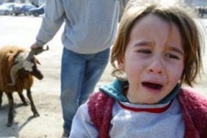 7 yaşından &ouml;nce kurban kesimini izletmeyin