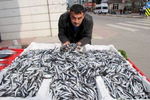3 liraya kadar d&uuml;şt&uuml;
