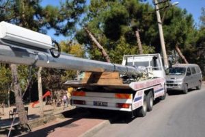 Baz i&ccedil;in geldiler fidan diktiler