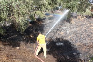 Arazi yangını bayramı zehir etti