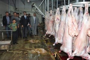 Kaymakamdan 650 aileye kurban eti