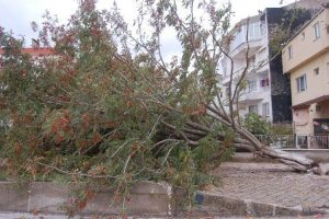 &Ccedil;anakkale'de fırtına hayatı fel&ccedil; etti