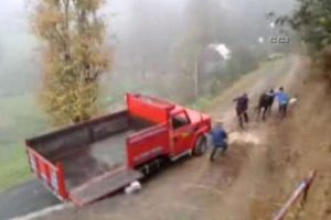 Kurbanlık hayvan b&ouml;yle s&uuml;r&uuml;kledi