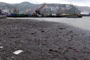 Bataklık değil Zonguldak'ın denizi!