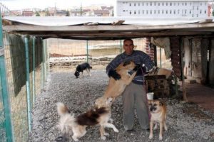 Emekli iş&ccedil;inin hayvan sevgisi