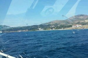 İmralı Adası'nın fotoğrafını paylaştı