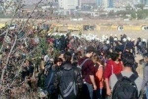 ODT&Uuml; ormanında fidan gerginliği