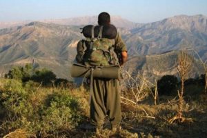 Şırnak'ta 2 PKK'lı teslim oldu