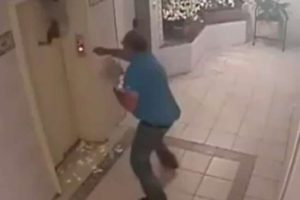 Minik k&ouml;pek asans&ouml;re sıkıştı