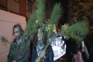 Betonu kazıp fidan diktiler