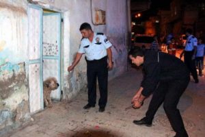 Eve giren k&ouml;pekten korkup polisi aradılar
