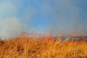 Y&uuml;ksekova kuş cenneti alev alev