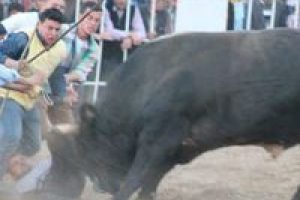 &Ouml;l&uuml;mle yaşam arasında gidip geldi