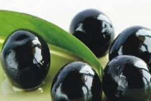 Zeytin zararlısı rekolteyi d&uuml;ş&uuml;rd&uuml;