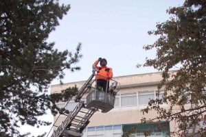İtfaiye ağa&ccedil;taki kedi yavrusunu kurtardı