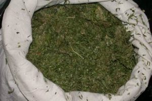 Ter&ouml;r operasyonunda uyuşturucu ele ge&ccedil;irildi