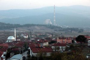 Ormanlar kesilmesin diye...