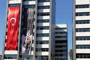 Pes dedirten hata