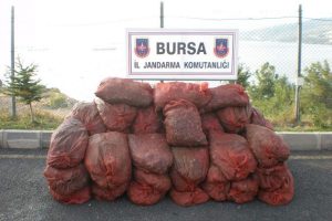 Bursa'da ka&ccedil;ak deniz &uuml;r&uuml;nlerine ge&ccedil;it yok