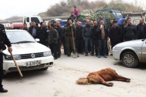 &Ccedil;in'de g&ouml;r&uuml;lmemiş vahşet