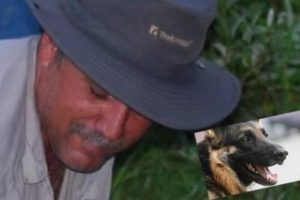 Yaşamak i&ccedil;in k&ouml;peğini taşla &ouml;ld&uuml;r&uuml;p yedi