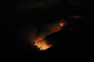 Uludağ'da korkutan yangın