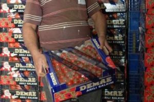 Domates sofralarda yer almaya başladı