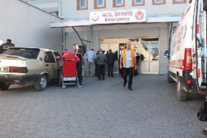 Minik Yunus k&ouml;pek saldırısından 30 dikiş ile kurtuldu