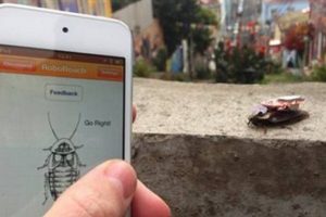 Kızdıran hamamb&ouml;ceği uygulaması