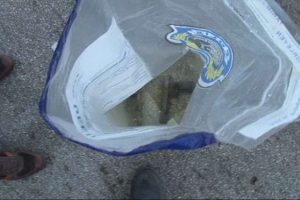 Denizde silah bulundu