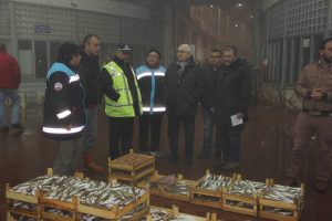 Bursa'da balık haline gece baskını