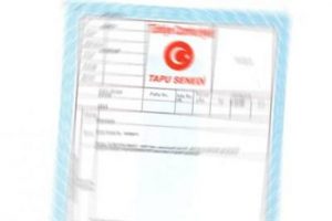 Tapuda yeni d&ouml;nem