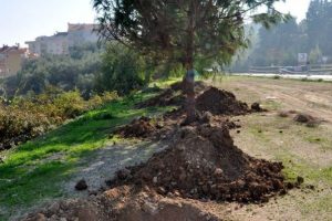 Mudanya Belediyesi'nden &ouml;rnek davranış