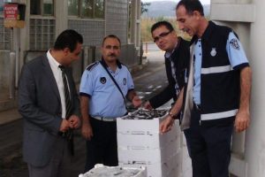Bursa'da 878 kilogram balığa el konuldu