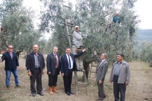 Zeytin toplayan &ccedil;ift&ccedil;ilere protokol ziyareti