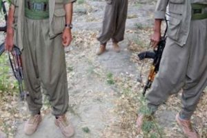 2 PKK'lı yakalandı